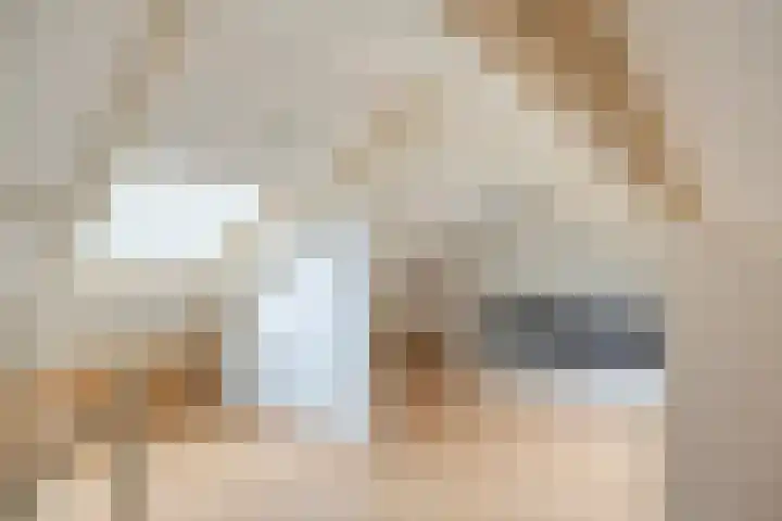 Johan Hendrik van Kinsbergenstraat 6 De Lier thumbnail 22