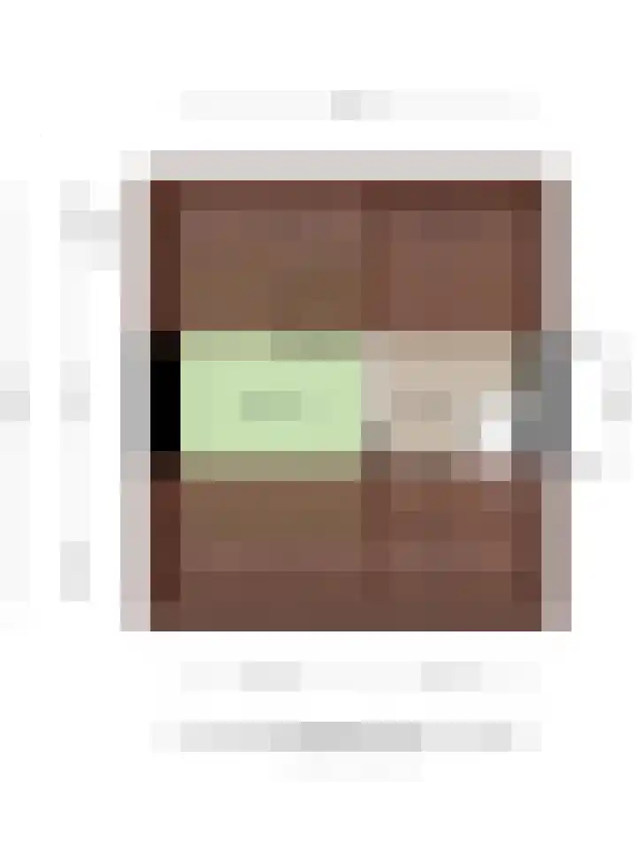 Johan Hendrik van Kinsbergenstraat 6 De Lier thumbnail 30