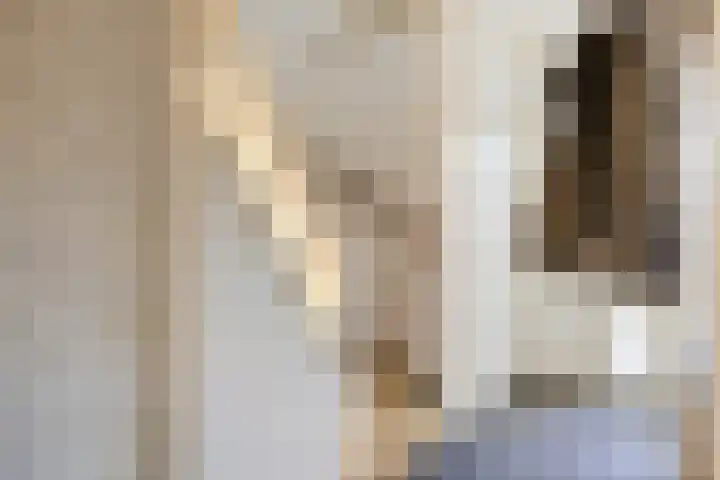 Johan Hendrik van Kinsbergenstraat 6 De Lier thumbnail 4