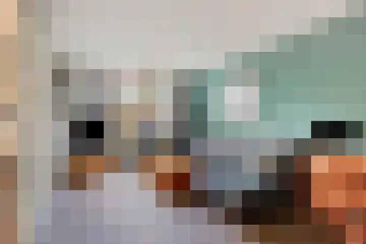 Johan Hendrik van Kinsbergenstraat 6 De Lier thumbnail 6