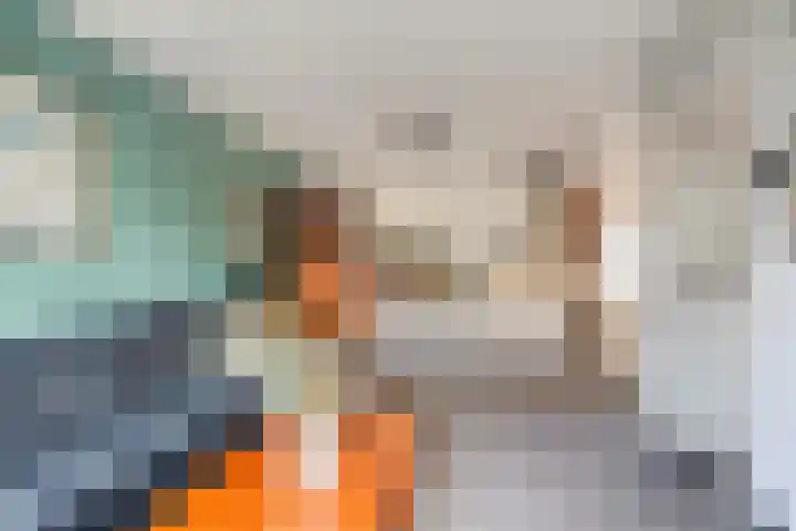 Johan Hendrik van Kinsbergenstraat 6 De Lier thumbnail 7