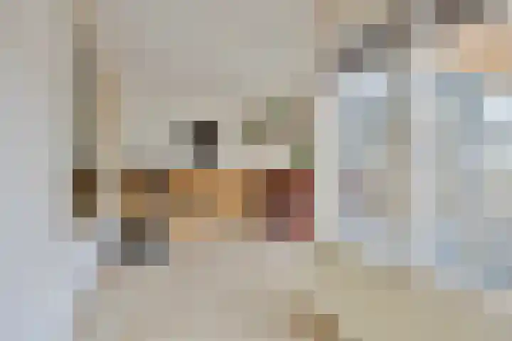 Johan Hendrik van Kinsbergenstraat 6 De Lier thumbnail 9