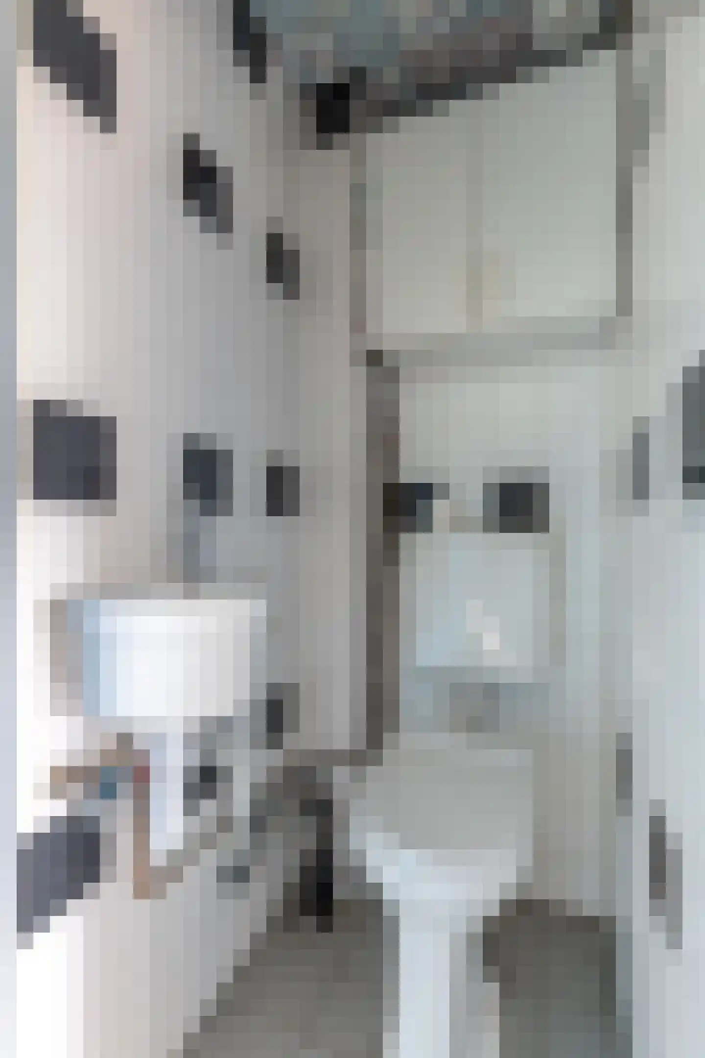 Johan Herman Doornstraat 34 Amsterdam thumbnail 20