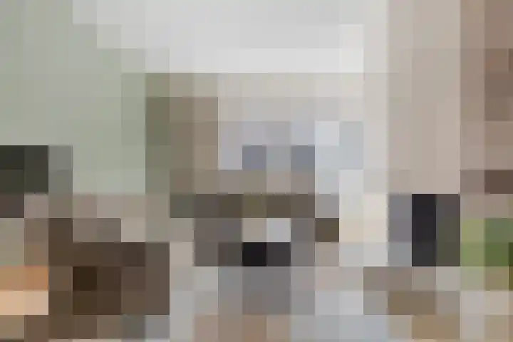 Johan Hilbinglaan 10 Gasselte thumbnail 11