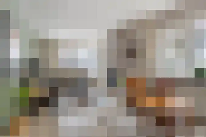 Johan Hilbinglaan 10 Gasselte thumbnail 13