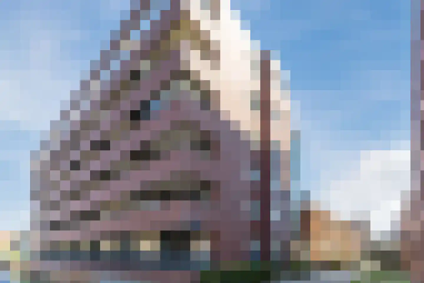 Johan Hofmanstraat 219 Amsterdam thumbnail 29