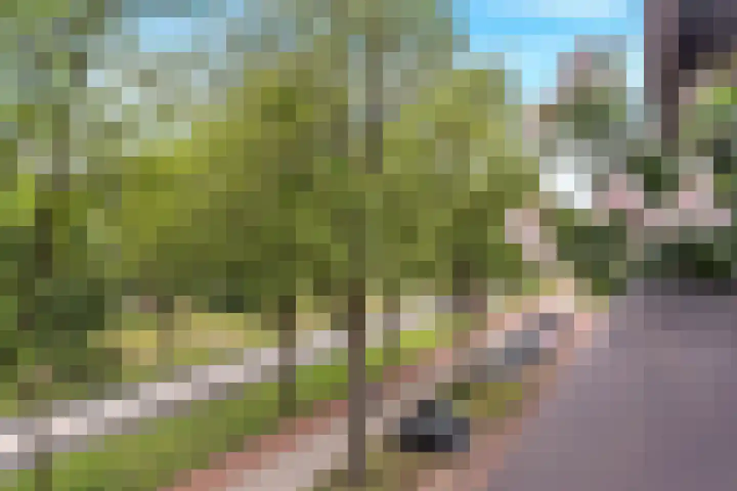 Johan Hofmanstraat 314 Amsterdam thumbnail 15