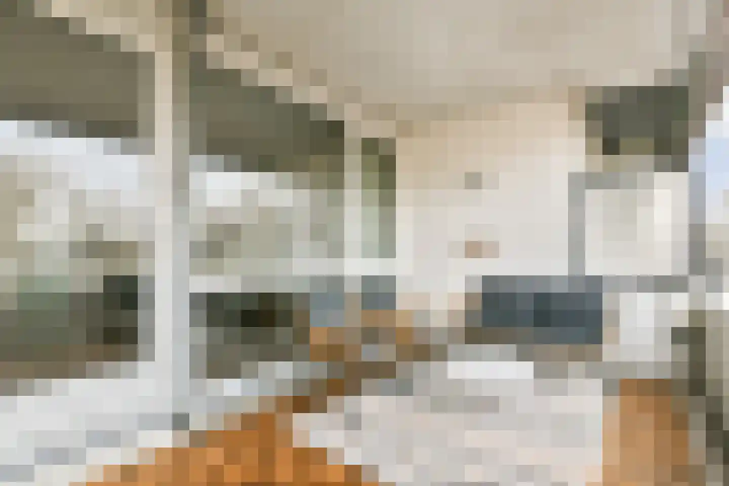 Johan Hofmanstraat 321 Amsterdam thumbnail 4