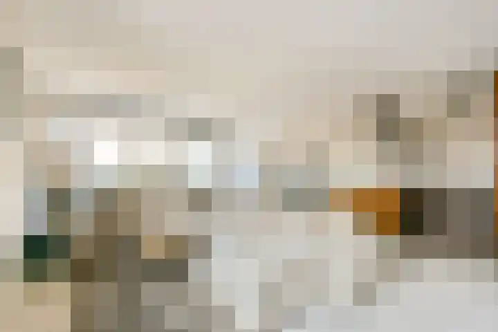 Johan Hofmanstraat 332 Amsterdam thumbnail 5