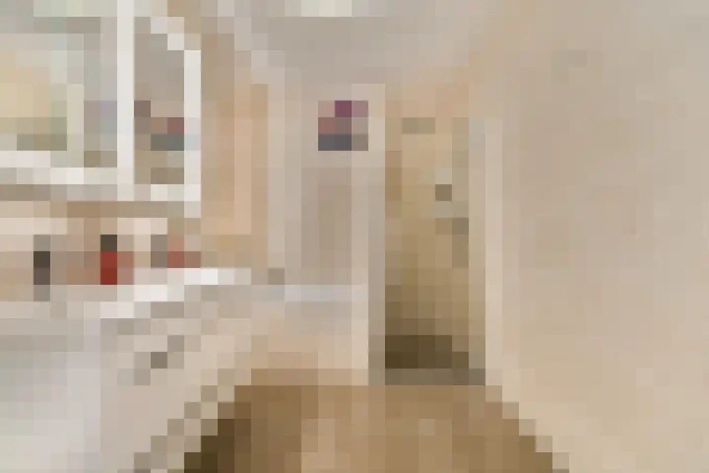 Johan Hofmanstraat 339 Amsterdam thumbnail 14