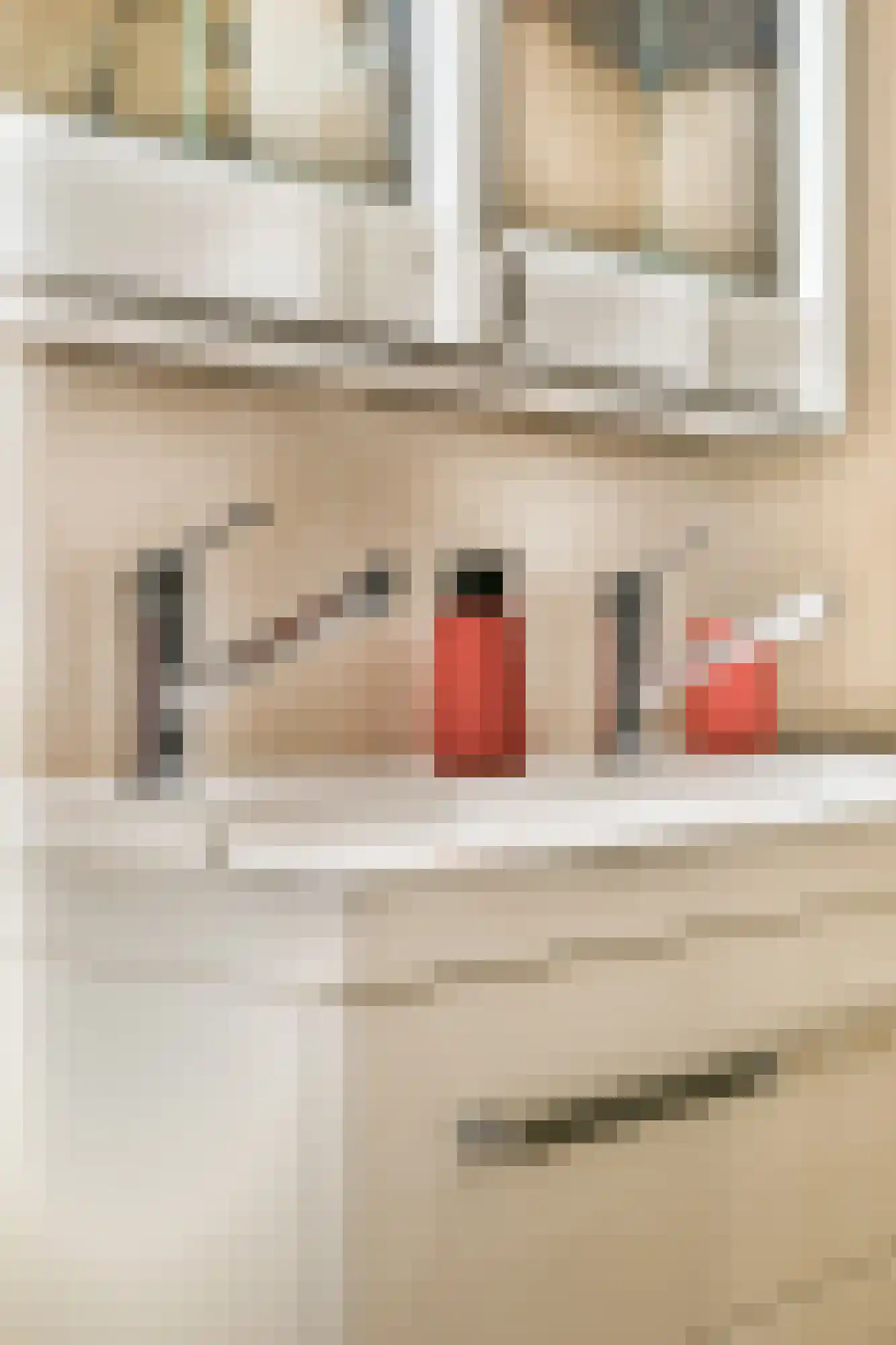 Johan Hofmanstraat 339 Amsterdam thumbnail 16