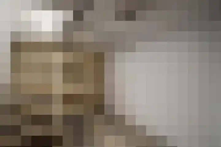 Johan Hofmanstraat 8 Tienray thumbnail 32