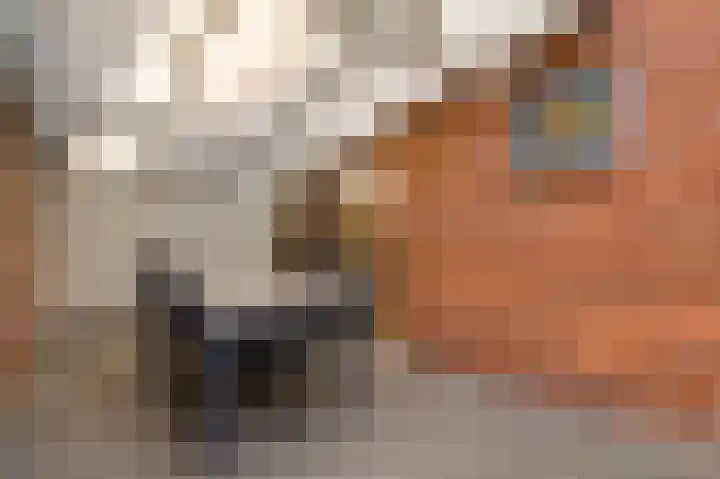 Johan Hofmanstraat 8 Tienray thumbnail 38