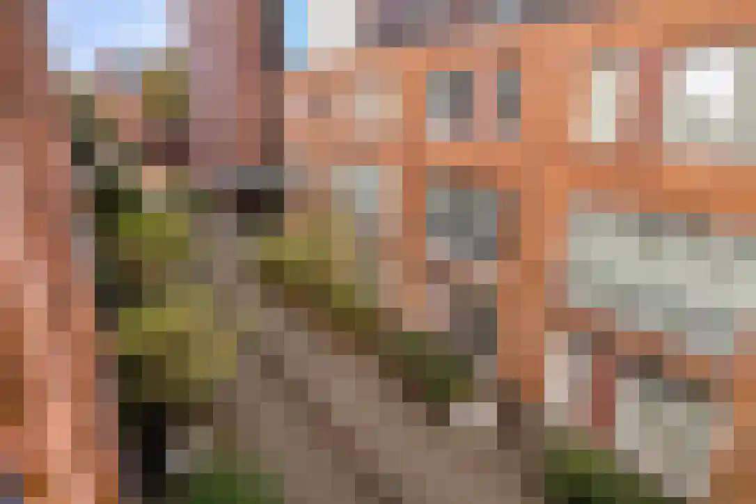 Johan Hofmanstraat 86 Amsterdam thumbnail 24