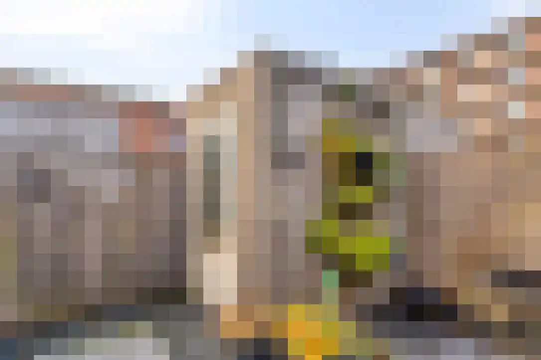 Johan Hofmanstraat 86 Amsterdam thumbnail 8