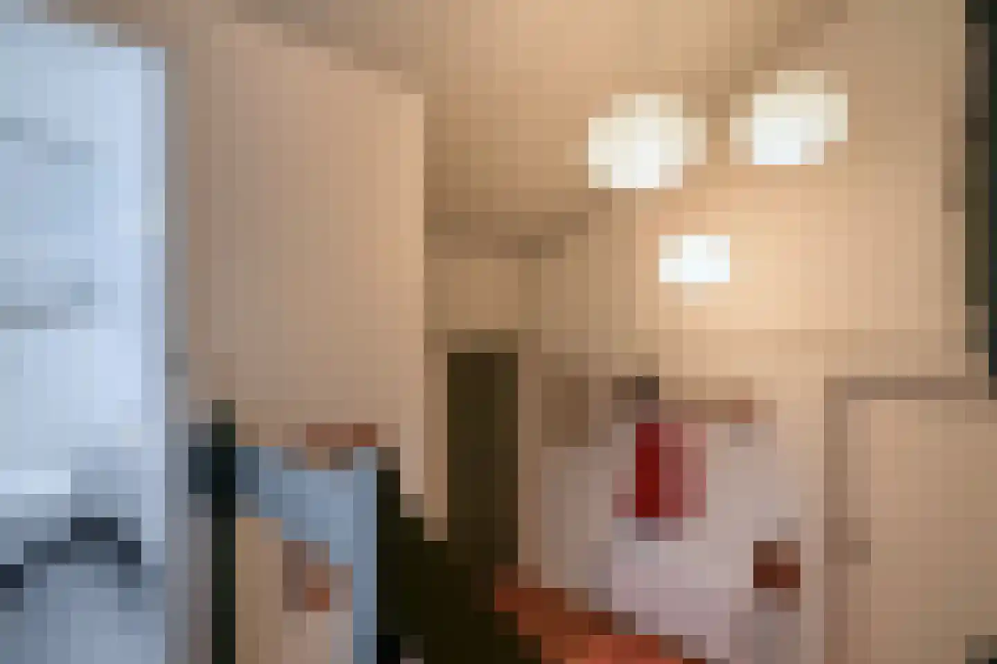 Johan Horalaan 1 Midwolda thumbnail 31