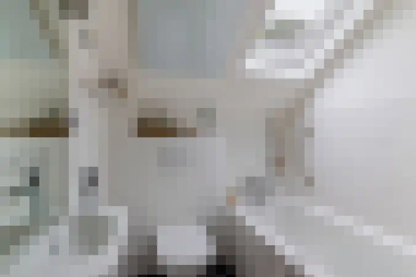 Johan Horalaan 1 Midwolda thumbnail 33