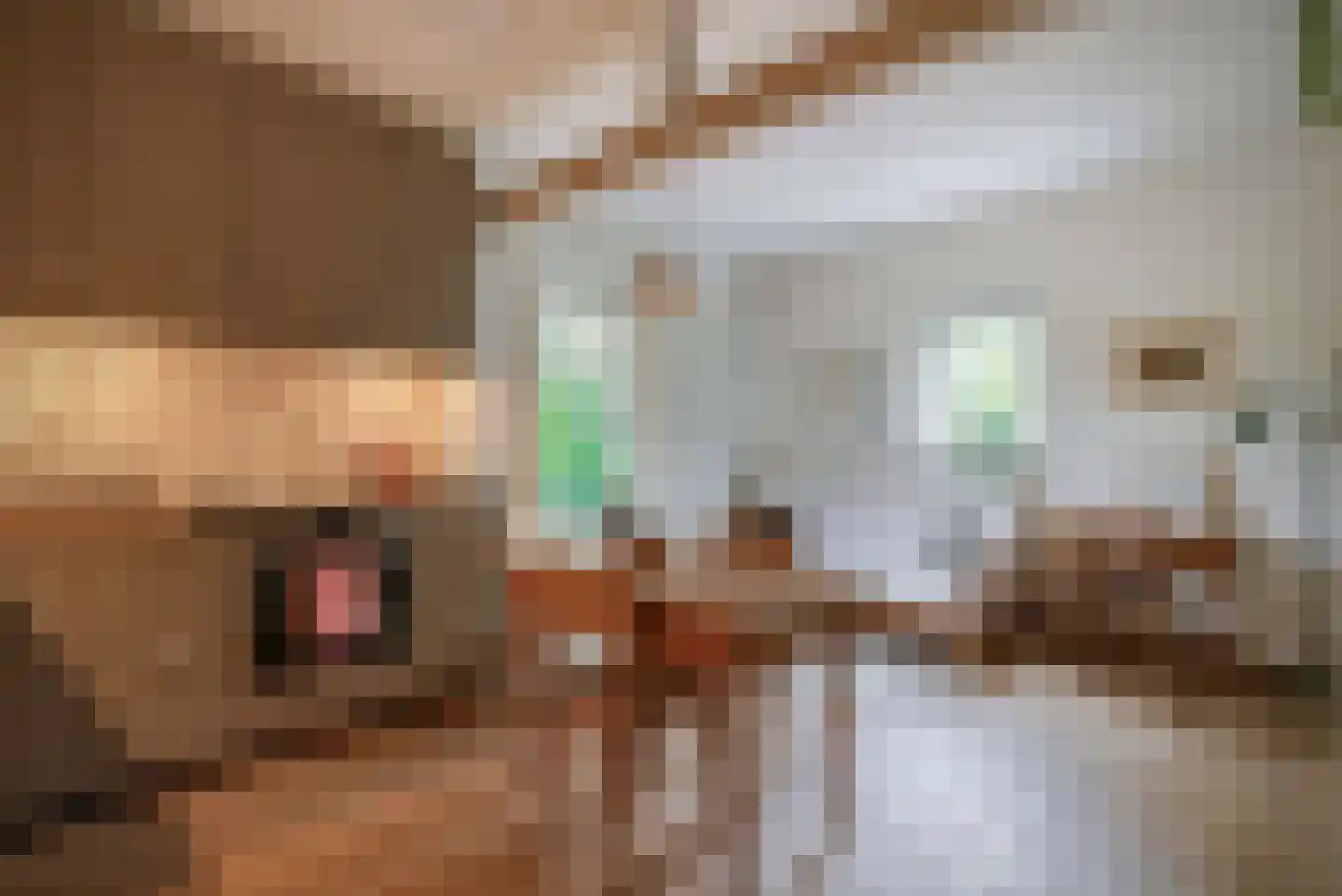 Johan Horalaan 1 Midwolda thumbnail 6