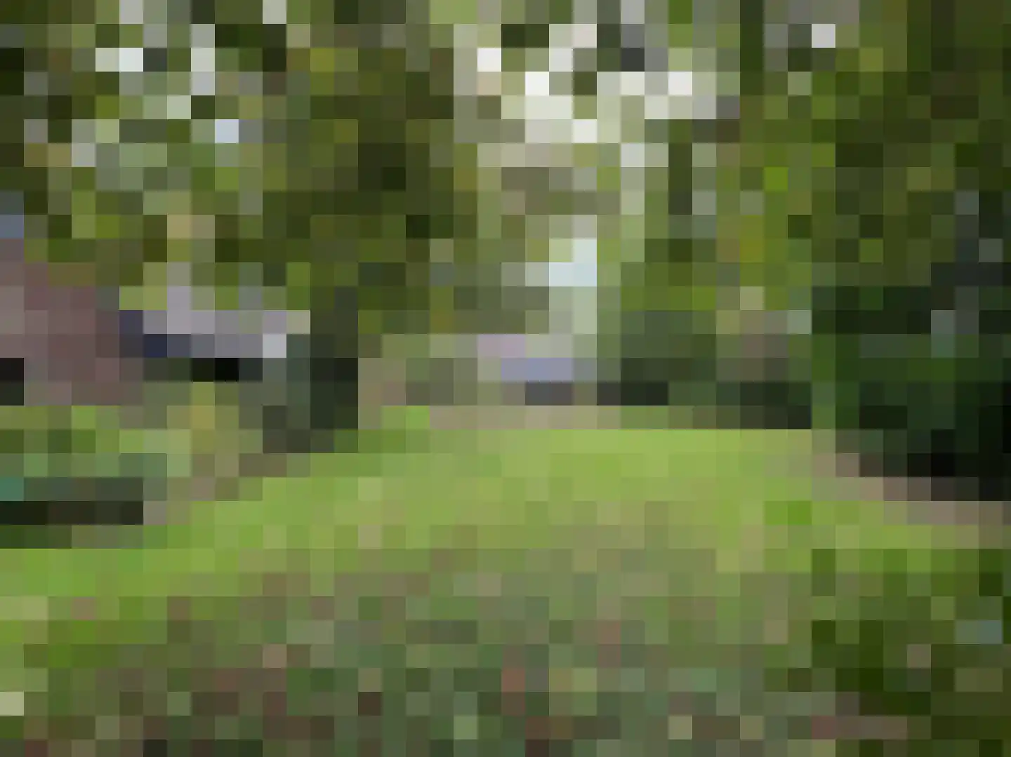 Johan Horalaan 1 Midwolda thumbnail 66
