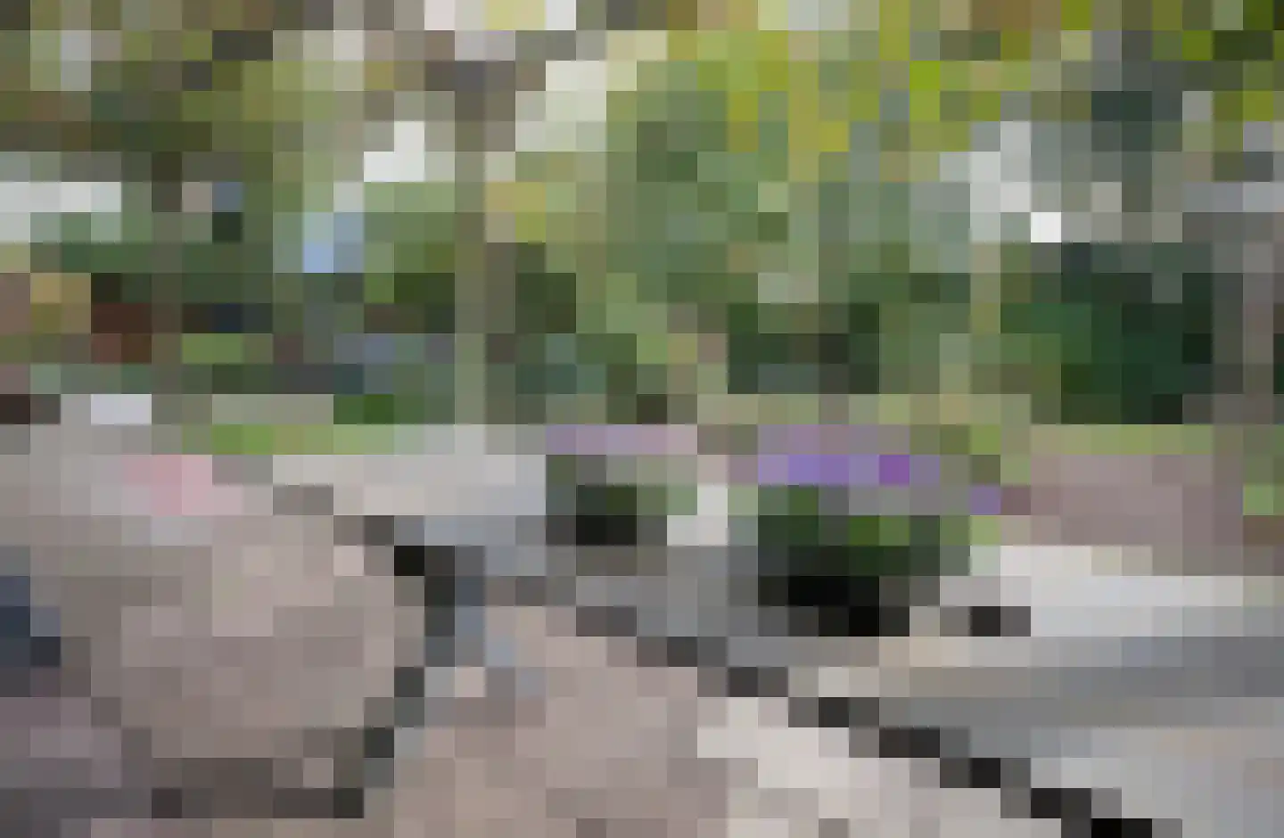 Johan Horalaan 1 Midwolda thumbnail 69