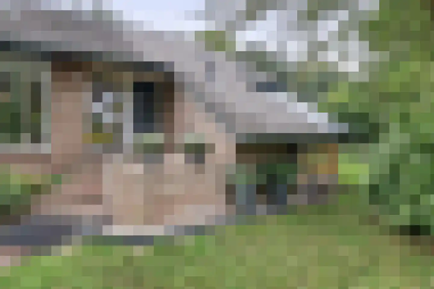 Johan Horalaan 1 Midwolda thumbnail 9