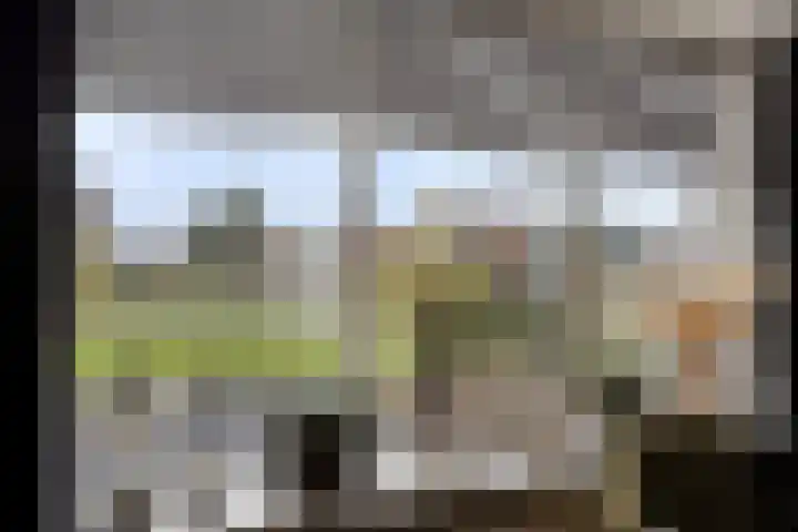 Johan Horalaan 19 Midwolda thumbnail 20