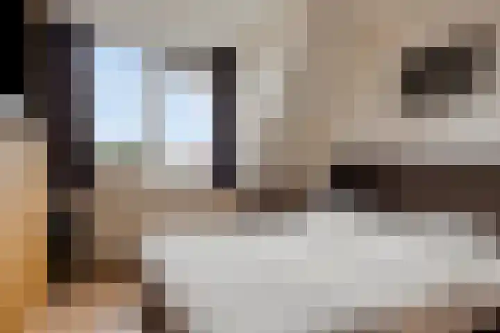 Johan Horalaan 19 Midwolda thumbnail 30