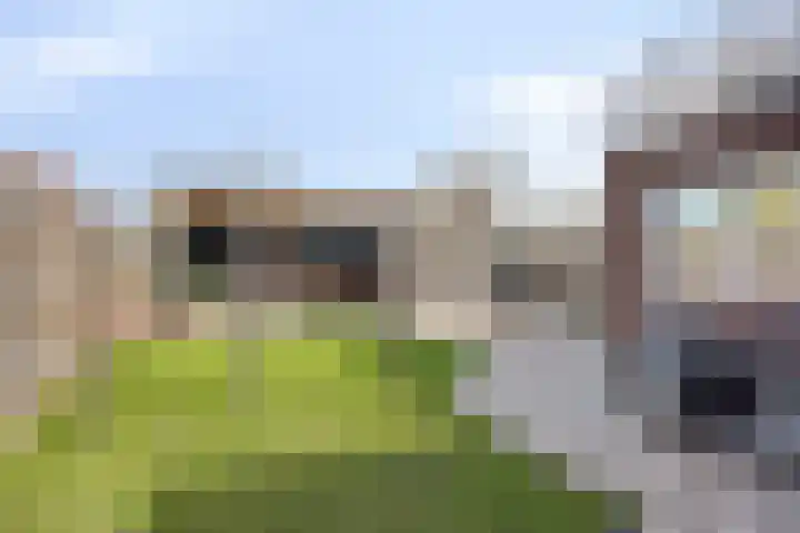 Johan Horalaan 19 Midwolda thumbnail 50