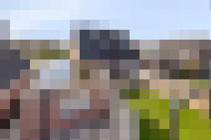 Johan Horalaan 19 Midwolda thumbnail 58