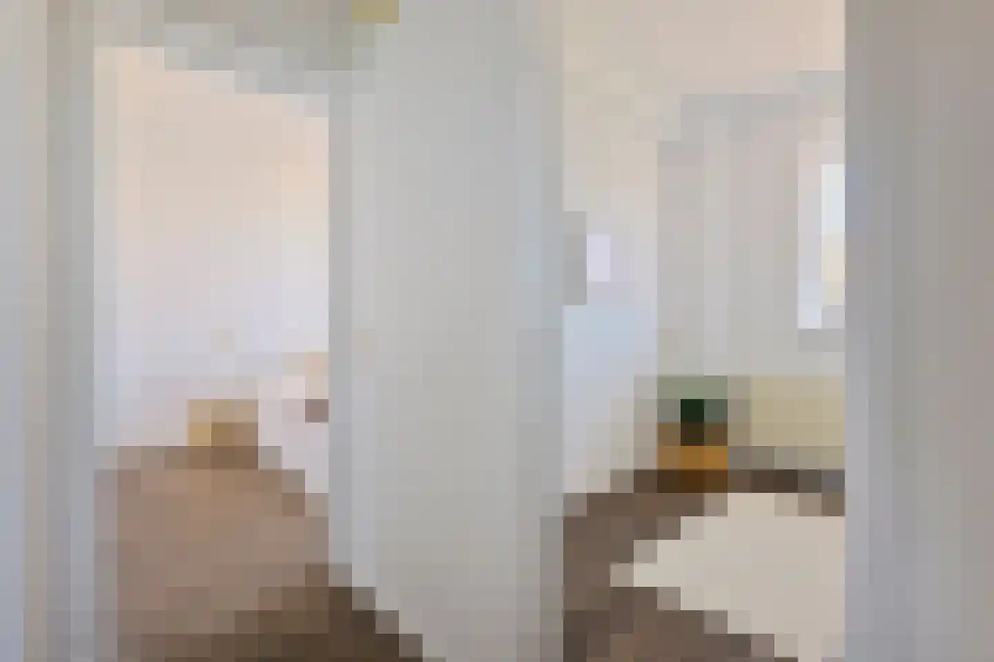 Johan Huizingalaan 304 2 Amsterdam thumbnail 19