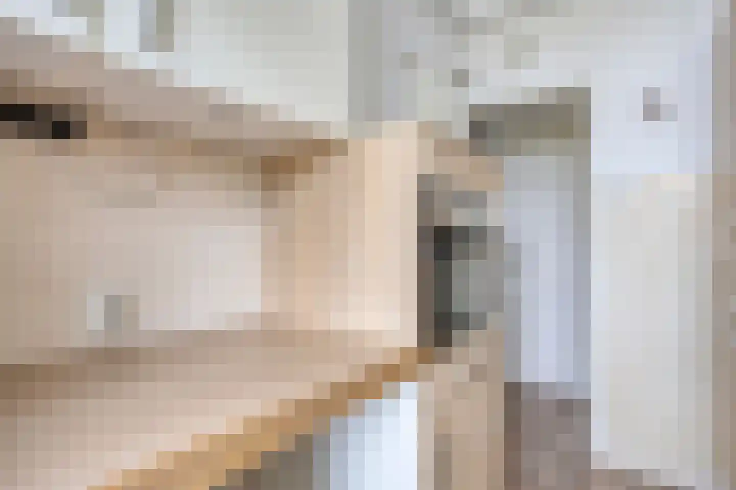 Johan Huizingalaan 310 1 Amsterdam thumbnail 11