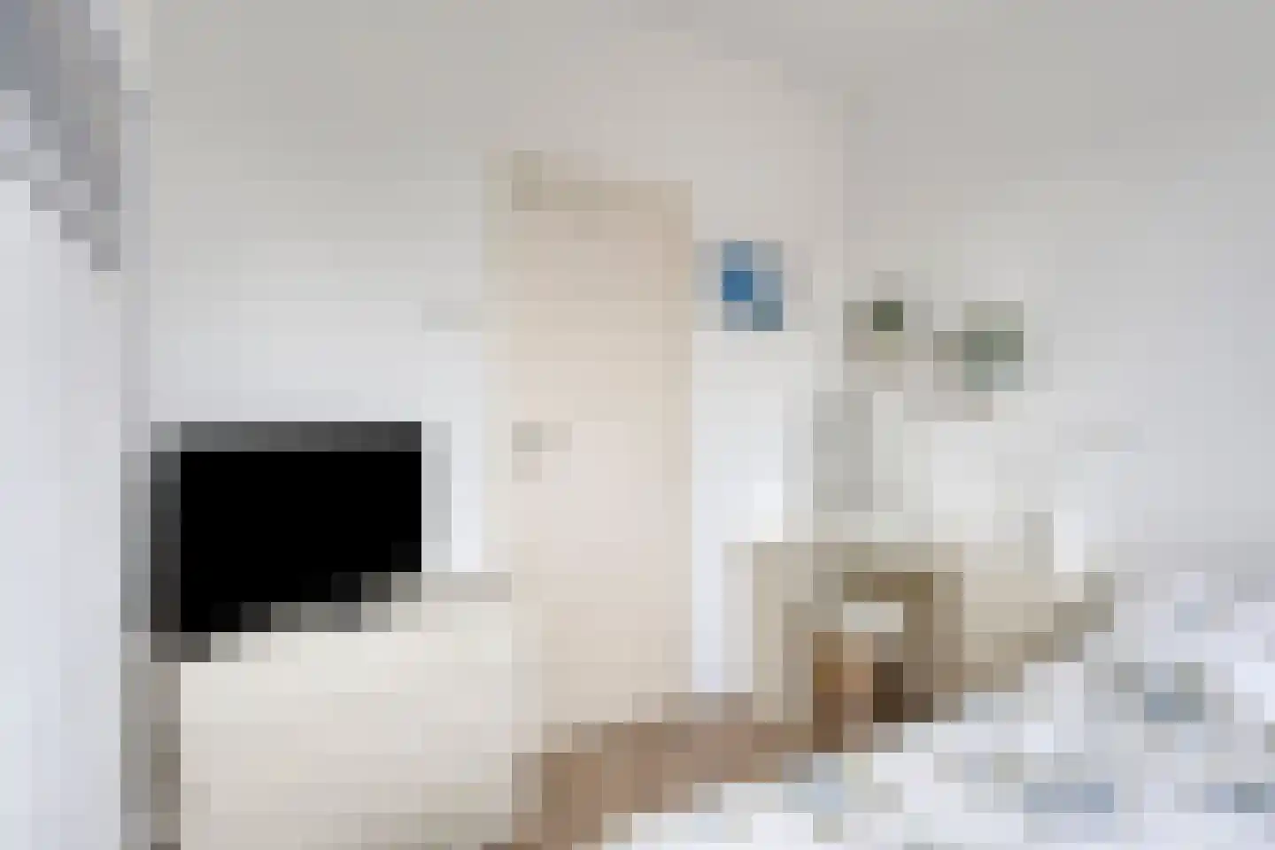 Johan Huizingalaan 310 1 Amsterdam thumbnail 26