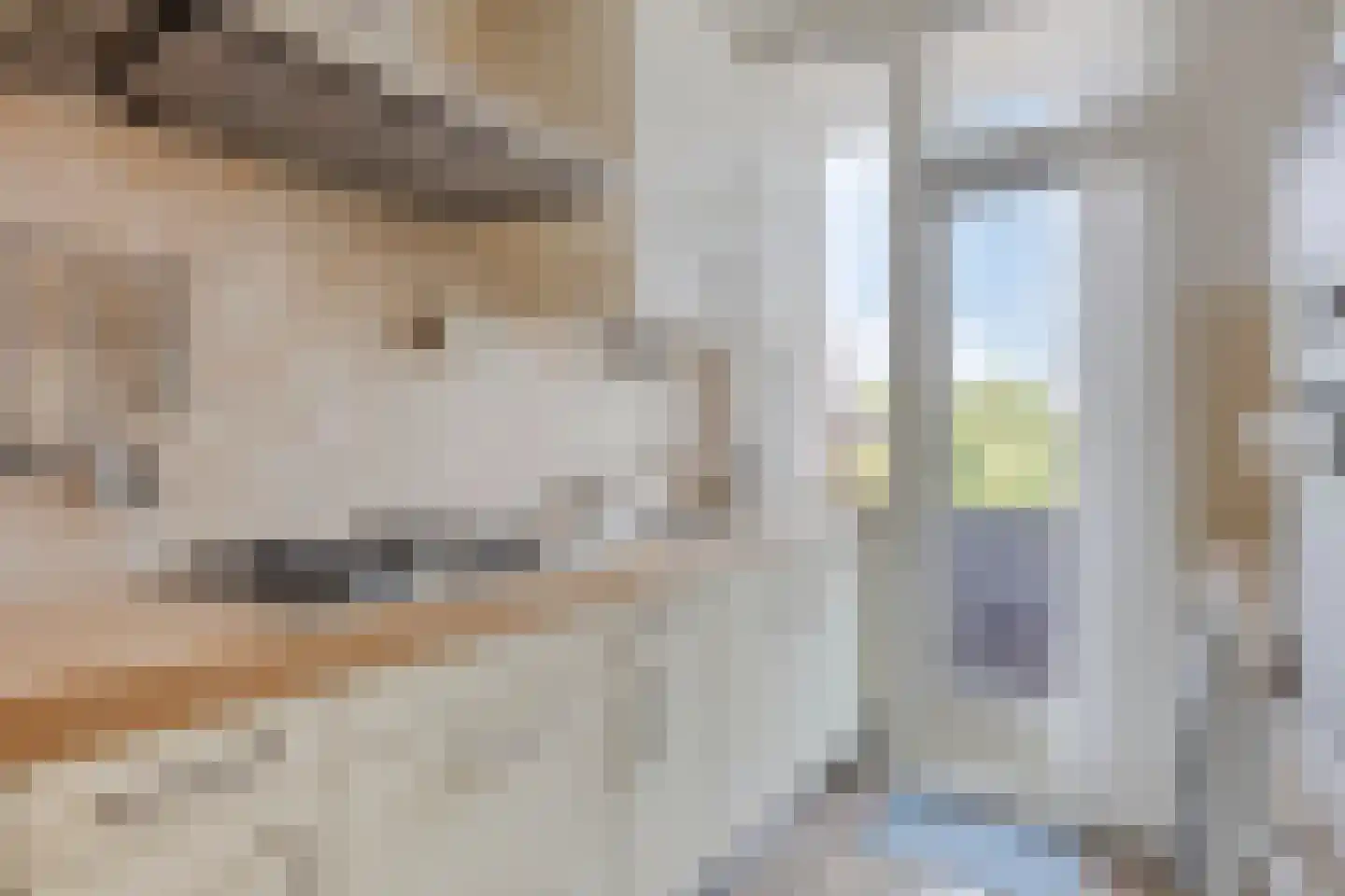 Johan Huizingalaan 310 1 Amsterdam thumbnail 9