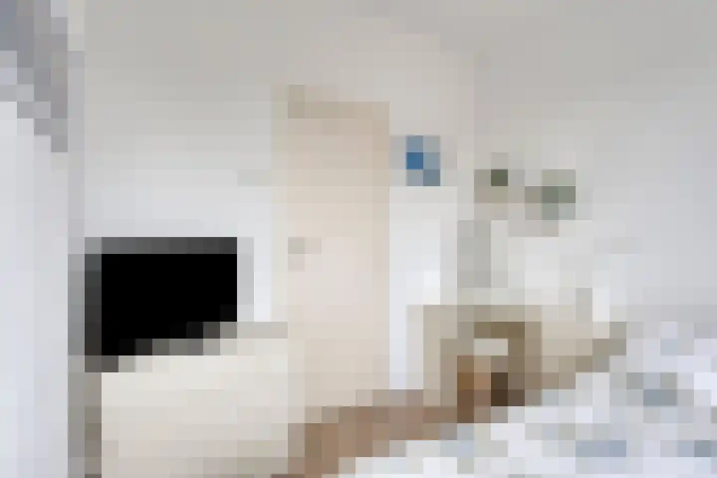 Johan Huizingalaan 310 2 Amsterdam thumbnail 26