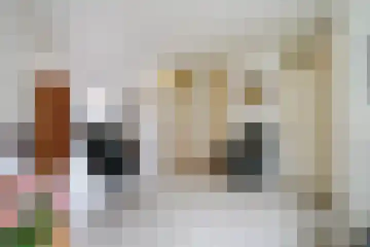 Johan Huizingastraat 19 Den Haag thumbnail 11