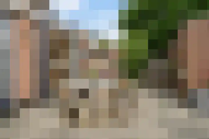 Johan Huizingastraat 19 Den Haag thumbnail 16