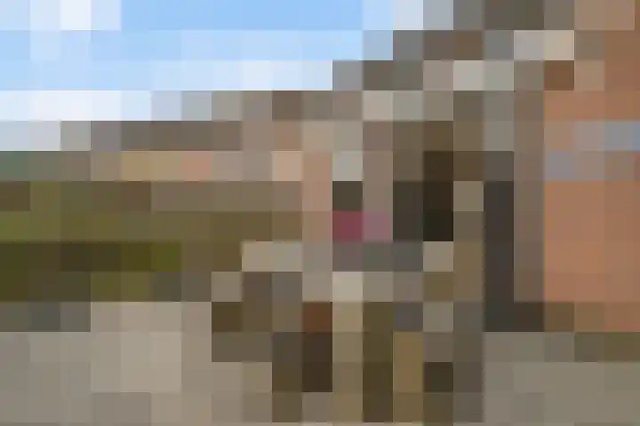 Johan Huizingastraat 19 Den Haag thumbnail 19