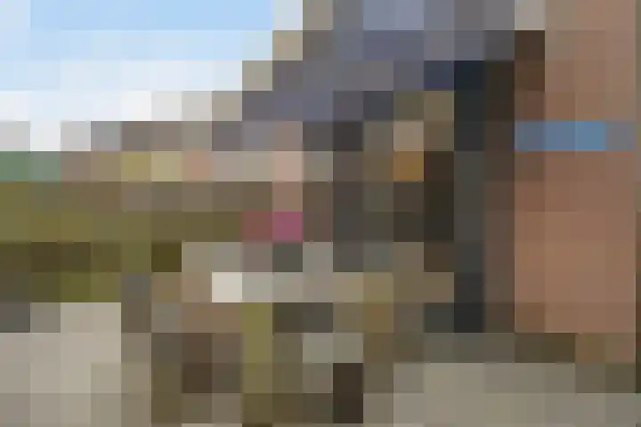 Johan Huizingastraat 19 Den Haag thumbnail 20