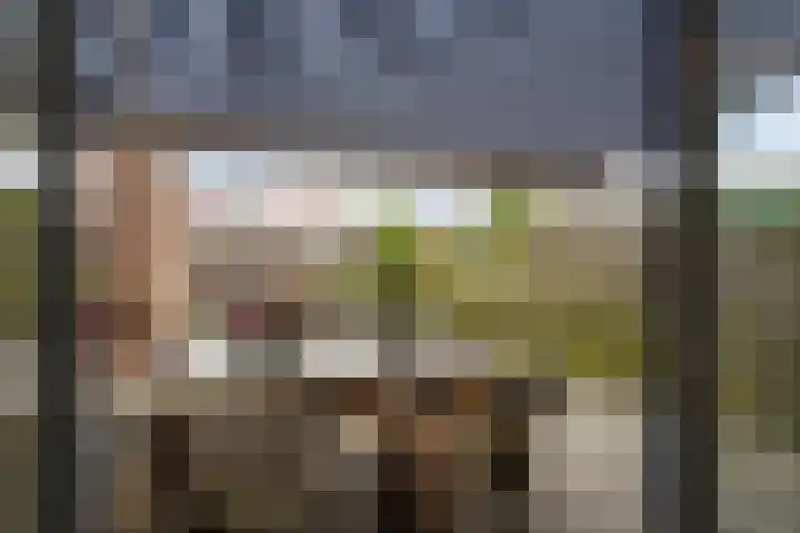 Johan Huizingastraat 19 Den Haag thumbnail 21