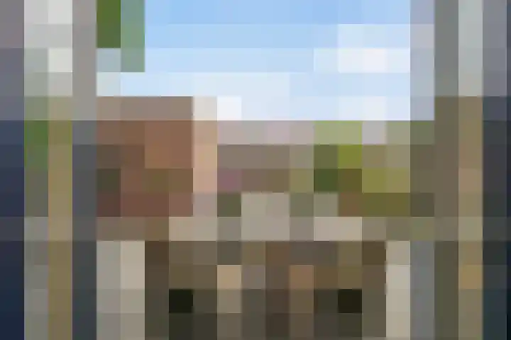 Johan Huizingastraat 19 Den Haag thumbnail 22