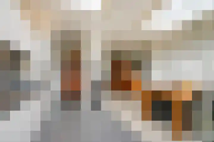 Johan Huizingastraat 19 Den Haag thumbnail 25