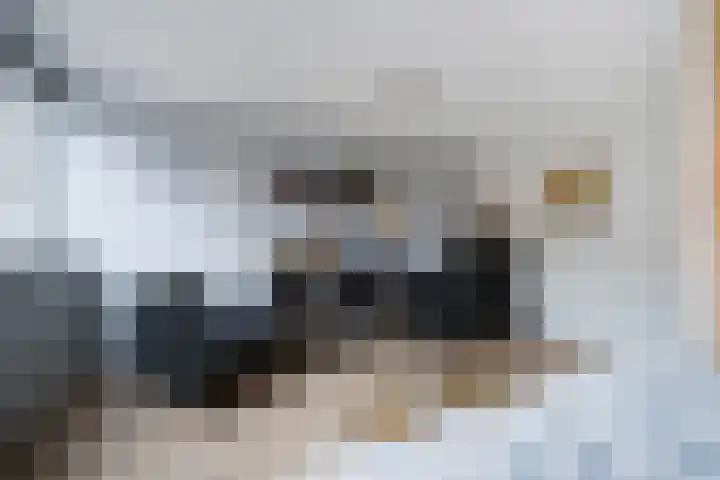 Johan Huizingastraat 19 Den Haag thumbnail 35