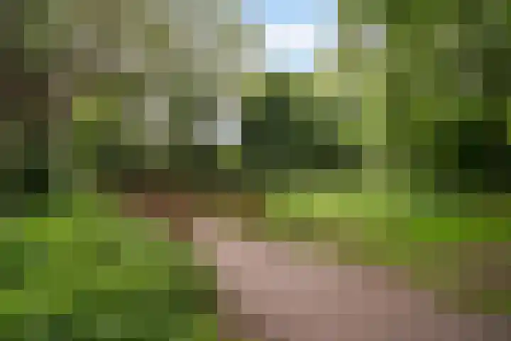 Johan Huizingastraat 19 Den Haag thumbnail 45