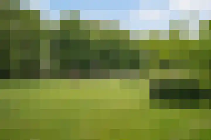 Johan Huizingastraat 19 Den Haag thumbnail 46