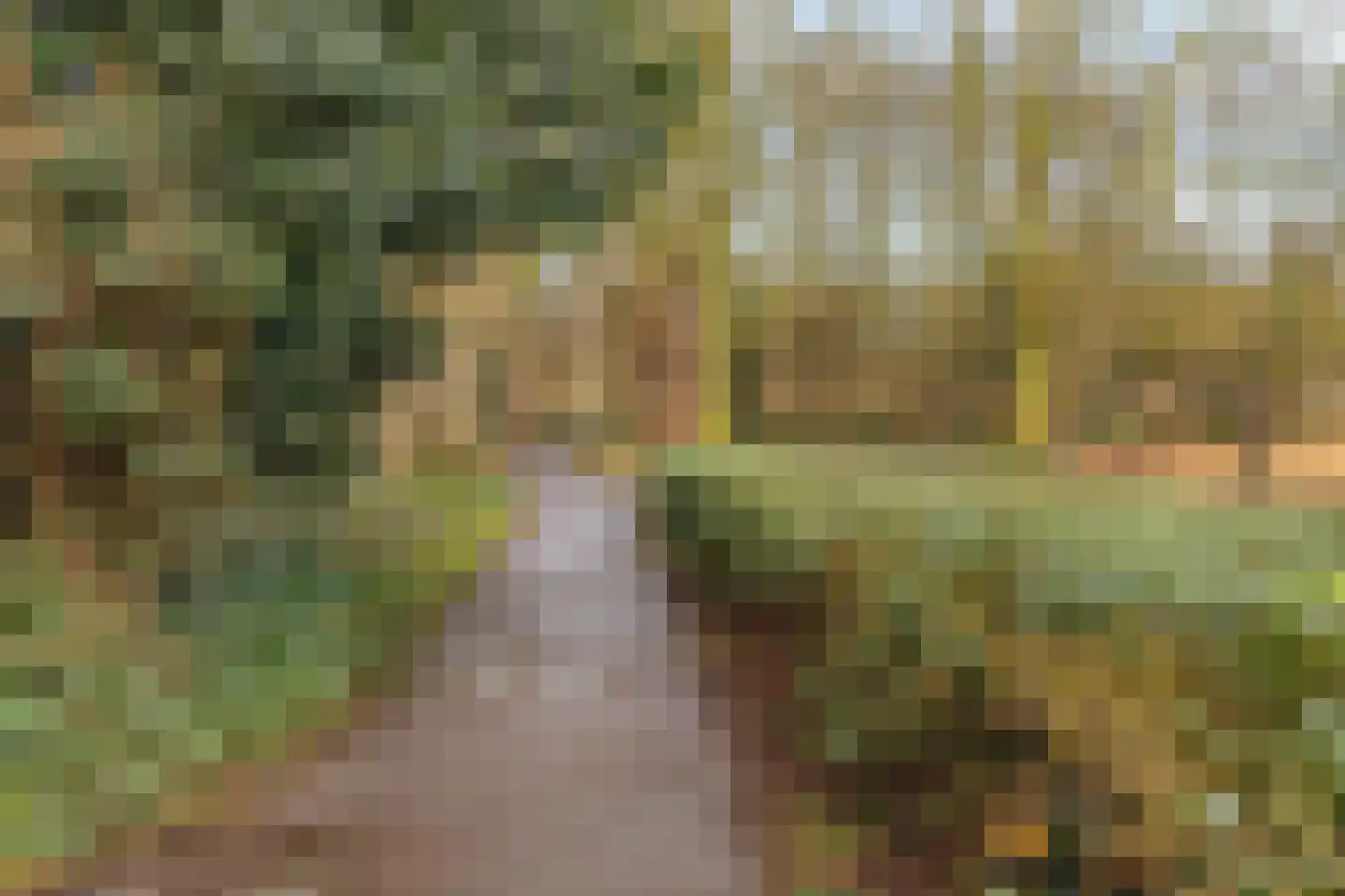 Johan Huizingastraat 41 Den Haag thumbnail 38