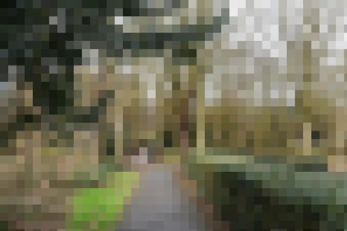 Johan Huizingastraat 41 Den Haag thumbnail 40