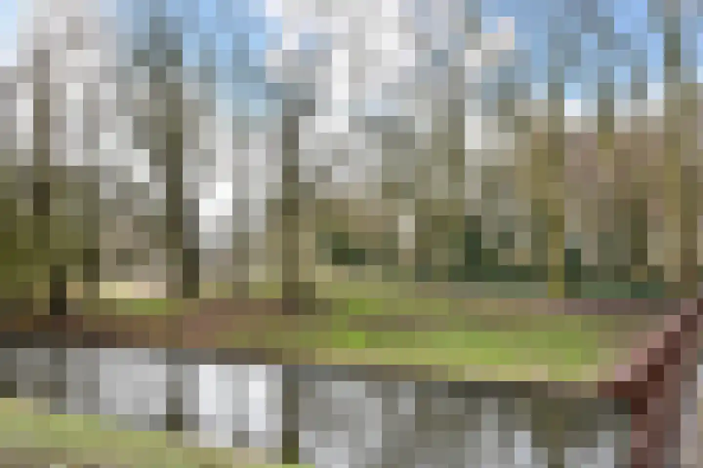 Johan Huizingastraat 41 Den Haag thumbnail 42