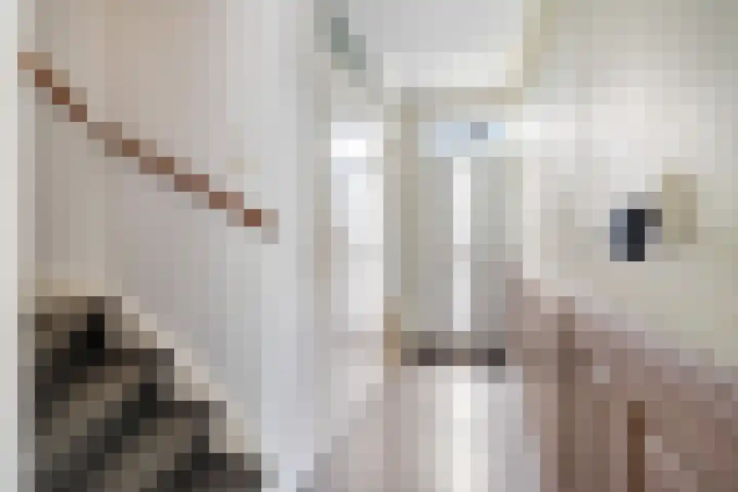 Johan Huizingastraat 47 Rotterdam thumbnail 13
