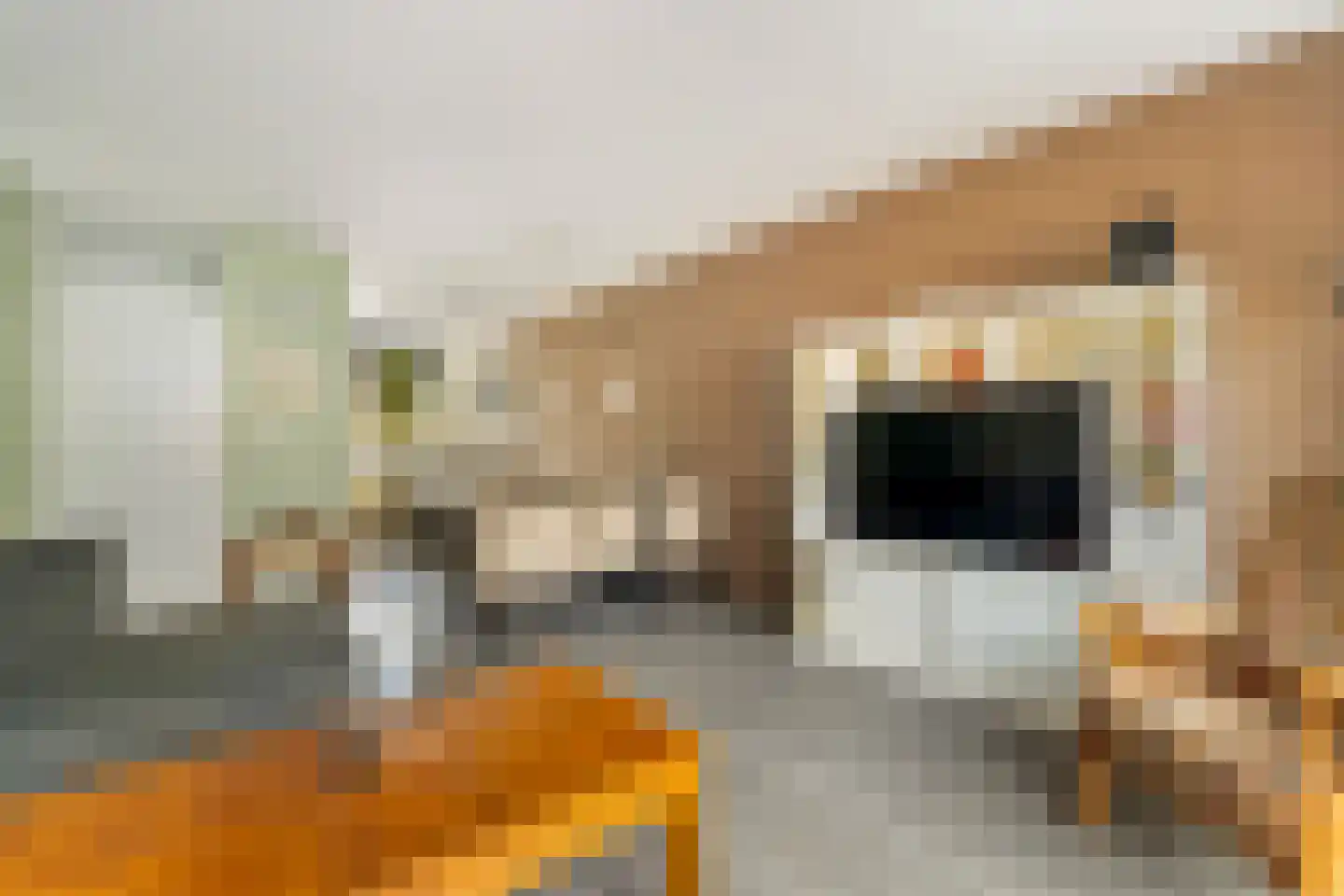 Johan Huizingastraat 47 Rotterdam thumbnail 16