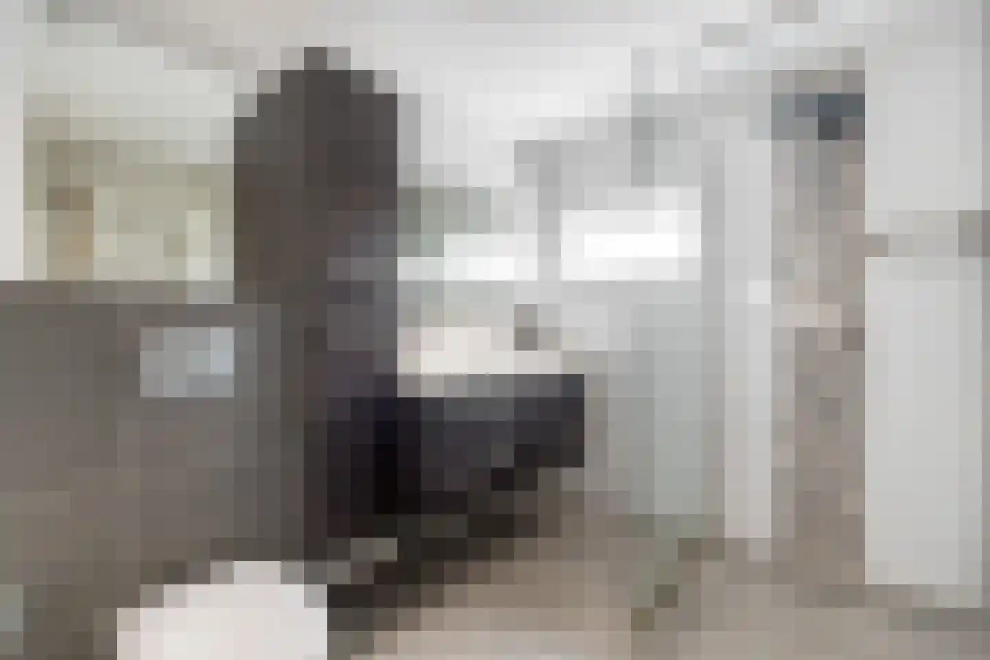 Johan Huizingastraat 47 Rotterdam thumbnail 6